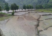 बाढी पहिरोका कारण ज्यान गुमाउनेको संख्या चार, आमा छोरा वेपत्ता