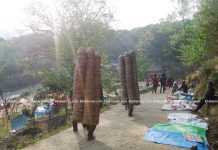 चैतेदशैं मेला बागलुङमा डालाको व्यापारः