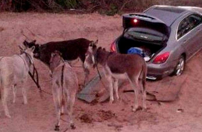chor-gadha
