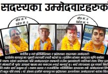 प्रदेशसभा सदस्यका उम्मेदवारहरुको नालीबेली