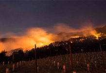 मतपेटिका बोकेको गाडीमा विस्फोट