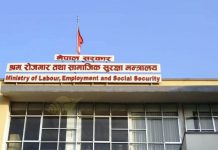 न्युजिल्याण्ड पठाइदिने भन्दै ठगी