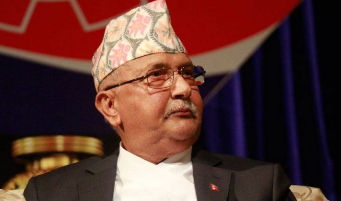 PM kp_oli