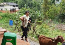 सहरको व्यापार छोडेर कृषिमा रमाएको बागलुङको एक परिवार