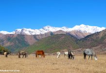 घुमघामको याम : यी हुन् गण्डकीका गन्तव्य