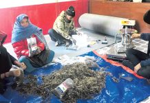 बागलुङको दमेकको पहिचान बन्दै सिस्नो, बाँको र आलु