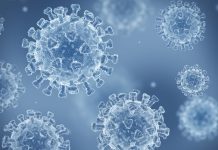 नेपालमा एकैपटक ७ जनामा जेएन.१ भेरियन्ट पुष्टि