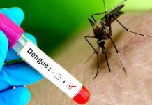 पर्वतमा ७० प्रतिशत बिरामीमा डेंगु सङ्क्रमण