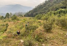 डेढ करोड लगानीमा कागतीखेती