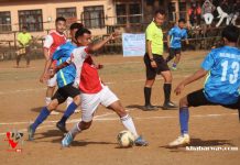पर्पल हेज सेमिफाइनलमा प्रबेश