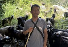 च्याङ्ग्रा बेच्दै वडा अध्यक्ष
